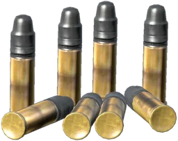 Ammo 22