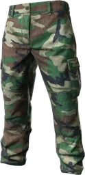 BDUPants