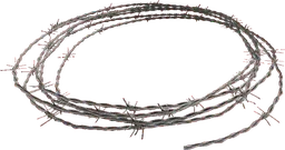 Barbed Wire