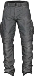 Cargo Pants Grey