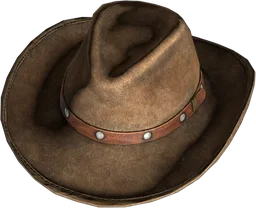 Cowboy Hat Brown