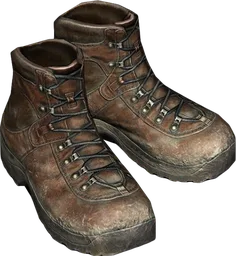 Hiking Boots Brown