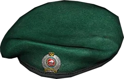 Military Beret NZ