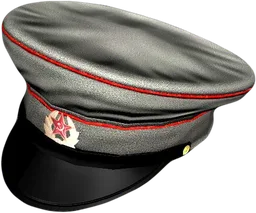 Officer Hat