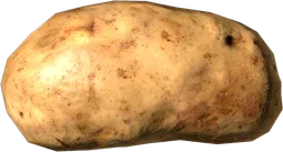 Potato