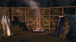 Purification Tablets