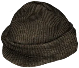 Radar Cap Brown