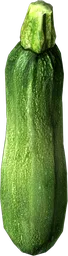 Zucchini