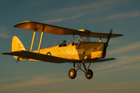 Tiger Moth